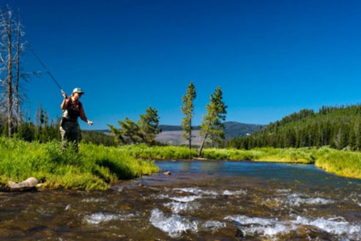 salida de pesca